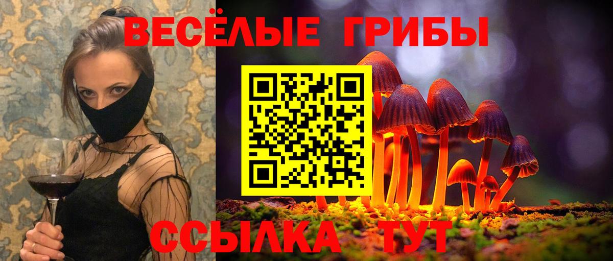 Псилоцибиновые грибы MAGIC MUSHROOMS  Вход с VPN  Михайловск 